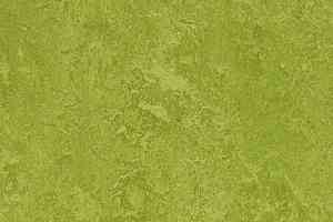 Линолеум Forbo Marmoleum Decibel on Order 324735 green фото  | FLOORDEALER